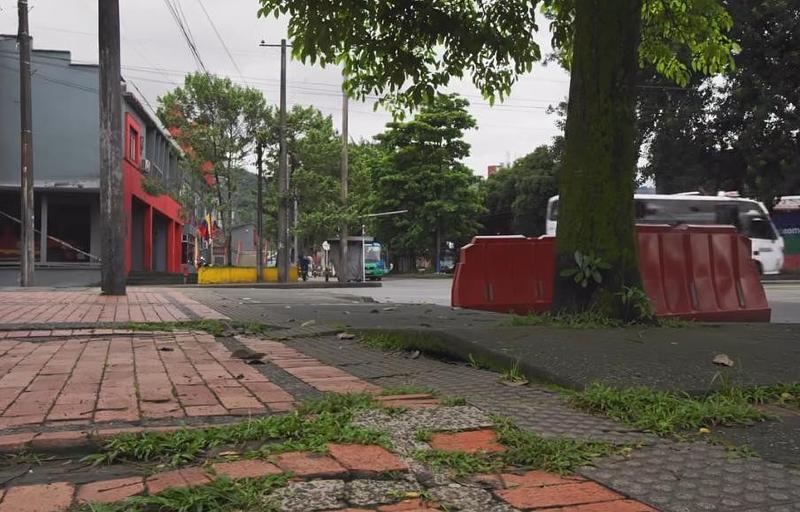 Tala de árboles en Av. Catama responde a criterios técnicos
