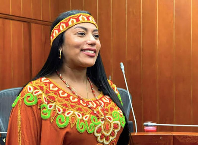 Senadora Peralta fue detenida en medio de la indagatoria