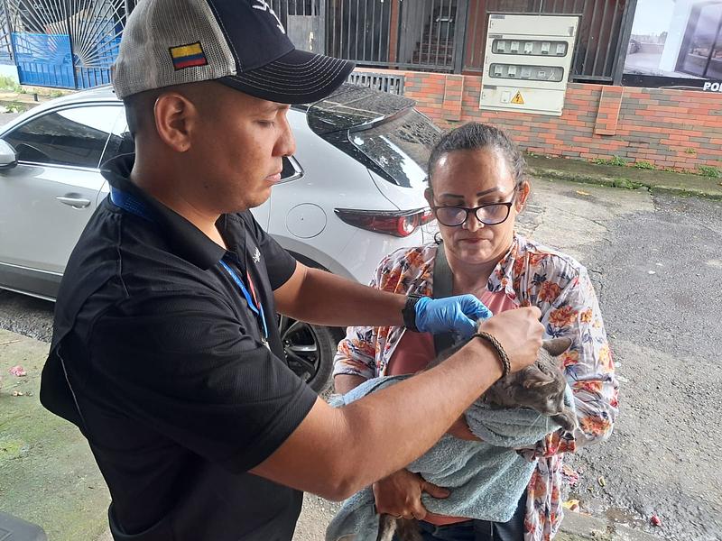 36.000 mascotas vacunadas contra la rabia en Villavicencio