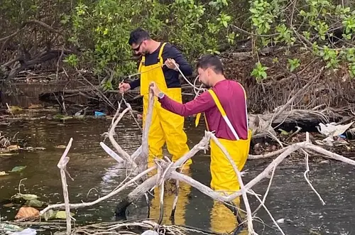 Humedal que protege Santa Marta podría desaparecer