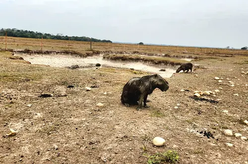 El ‘Súper Niño’ ya llegó a Casanare