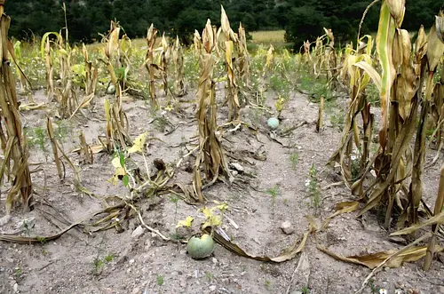 Casanare se alista ante posible sequía extrema