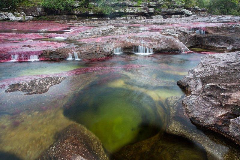 La Macarena da inicio a la temporada de Caño Cristales