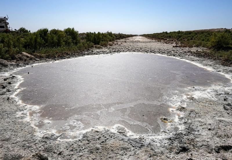 Procuraduría pide analizar impacto del Fenómeno de El Niño