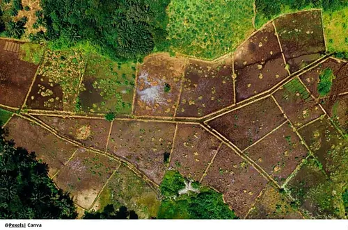 Avanza restitución de tierras étnicas en Meta y Guaviare