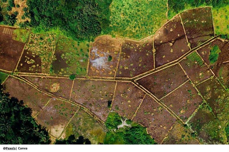 Avanza restitución de tierras étnicas en Meta y Guaviare