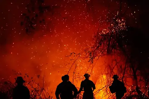 De la Espriella crea grupo élite contra incendios