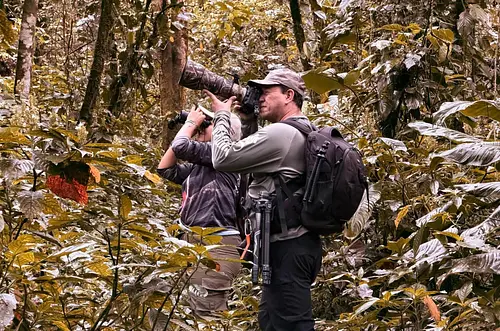Villavicencio abre Semana de las Aves