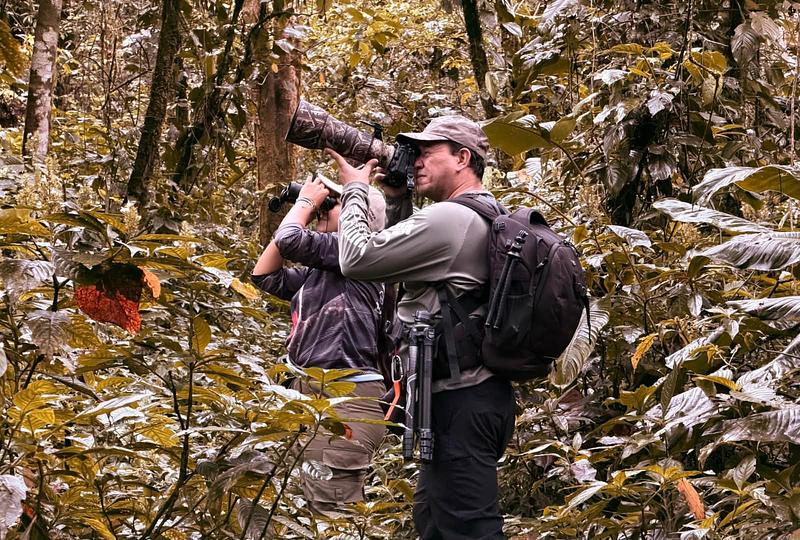 Villavicencio abre Semana de las Aves