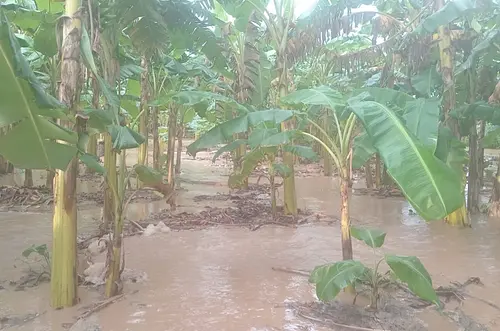 Meta lanza donatón para familias afectadas por lluvias