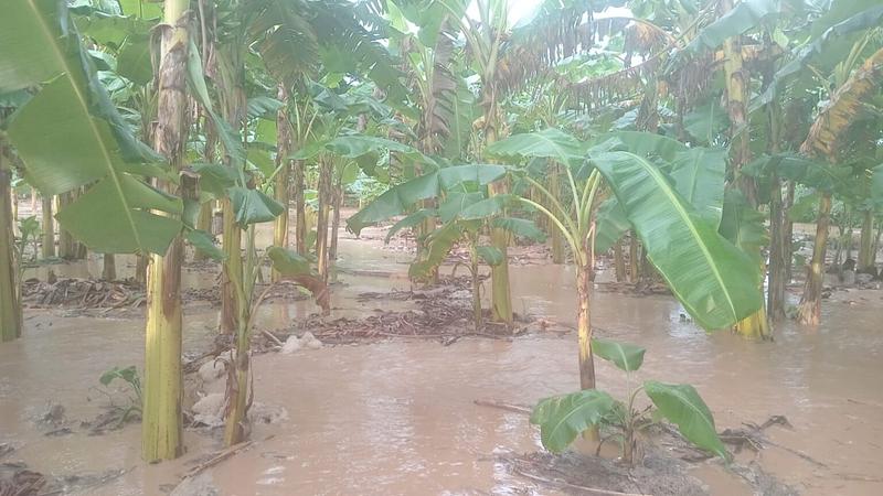 Meta lanza donatón para familias afectadas por lluvias
