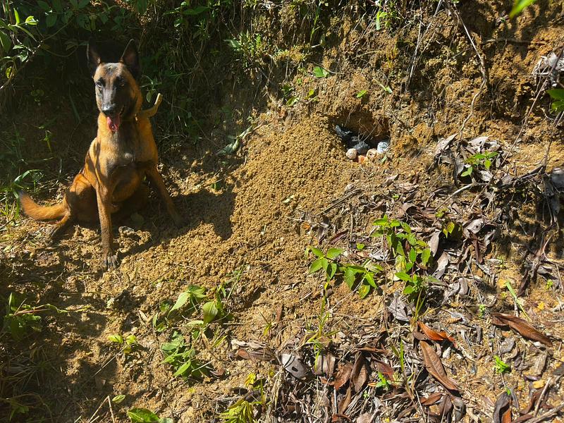 Destruyen depósito de explosivos en Meta