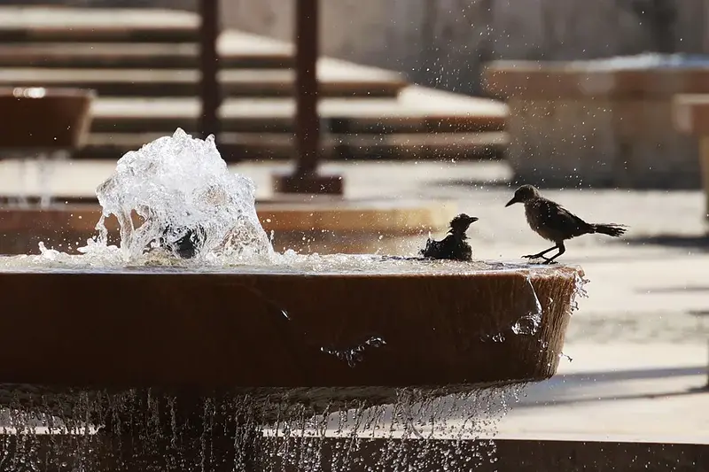 El Niño dispara el calor en el Caribe