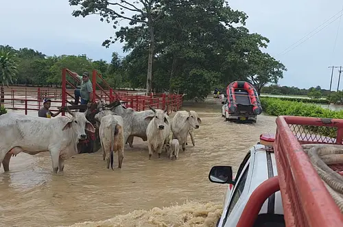 Zorro busca respaldo del Ministerio de Agricultura