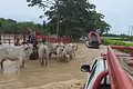 Zorro busca respaldo del Ministerio de Agricultura