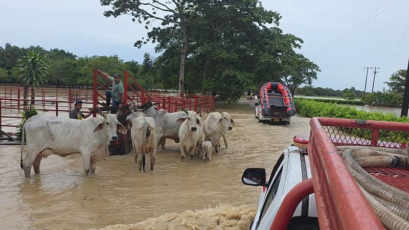 Zorro busca respaldo del Ministerio de Agricultura