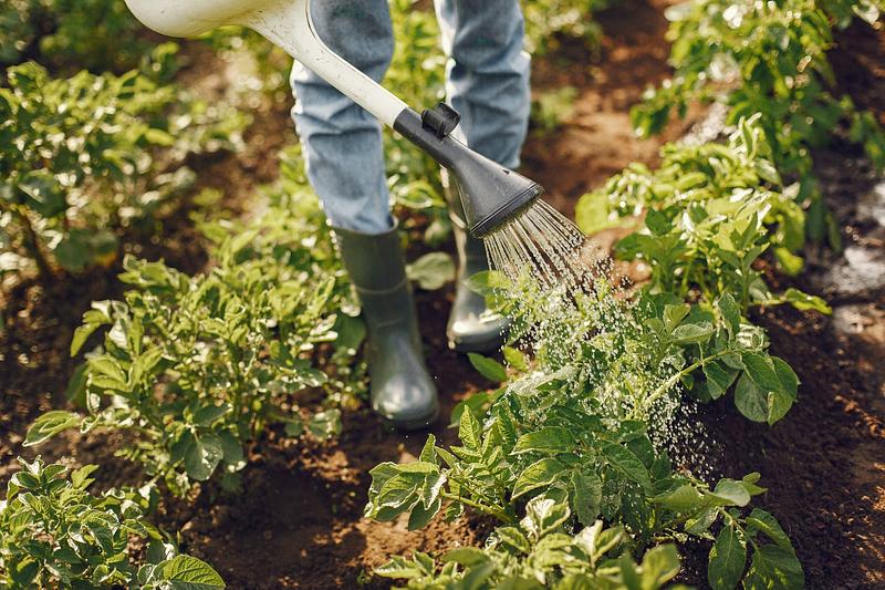 Agricultura resiliente ante el fenómeno de El Niño