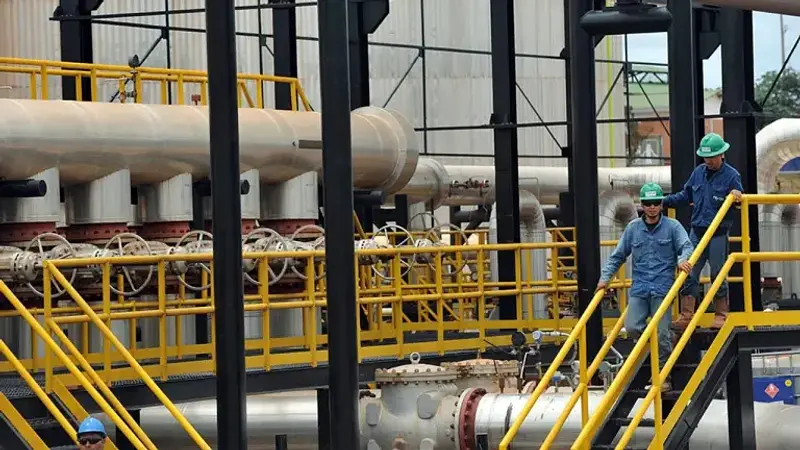 Gobierno prepara medidas para abastecer térmicas