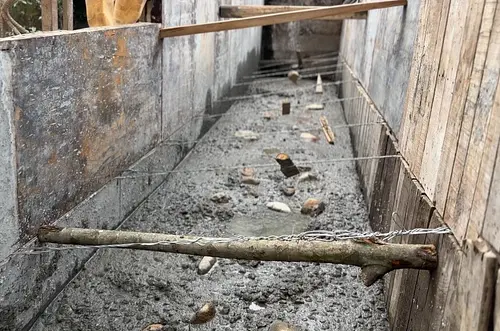 Avanza obra de contención para recuperar Caño Maizaro