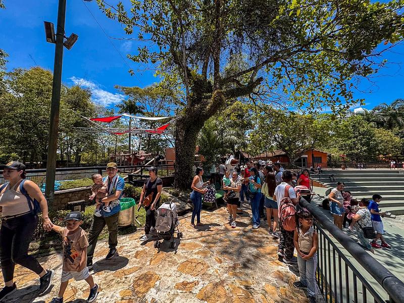 ¡Meta recibió 298.000 visitantes y movió $442.000 millones!
