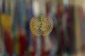 ONU alerta sobre decreto que facilita fuerza policial