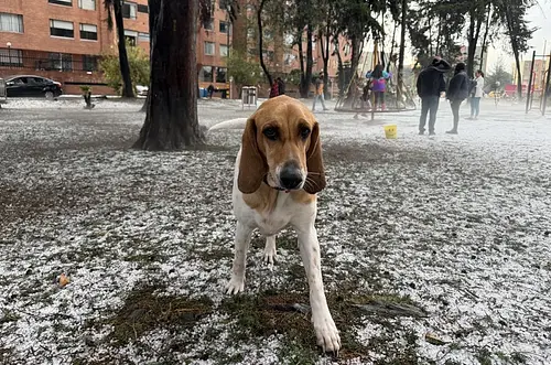 Granizada cubre Bogotá y retrasa vuelos