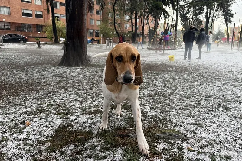 Granizada cubre Bogotá y retrasa vuelos